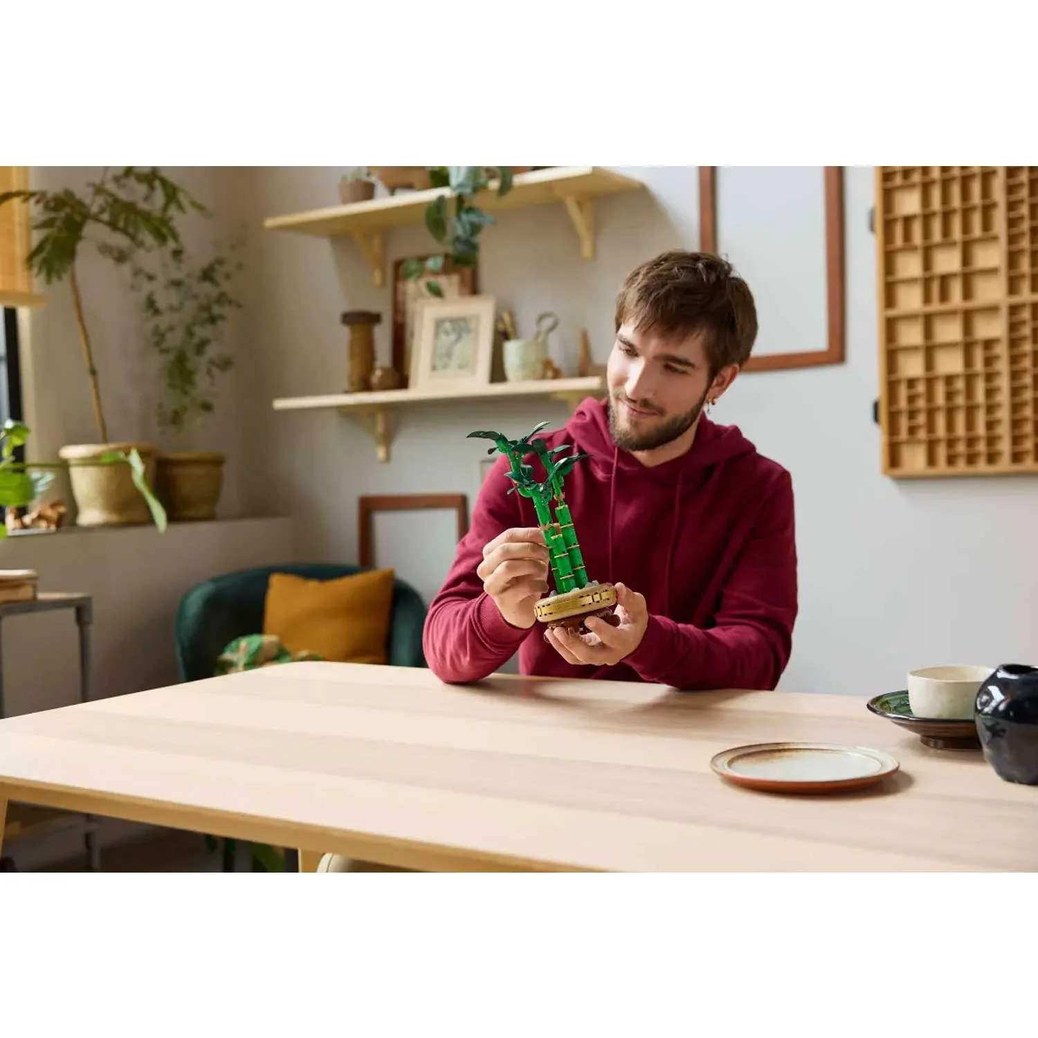 LEGO - Linea Botanicals: Bambu Del Buon Auspicio 10344 - Image 6